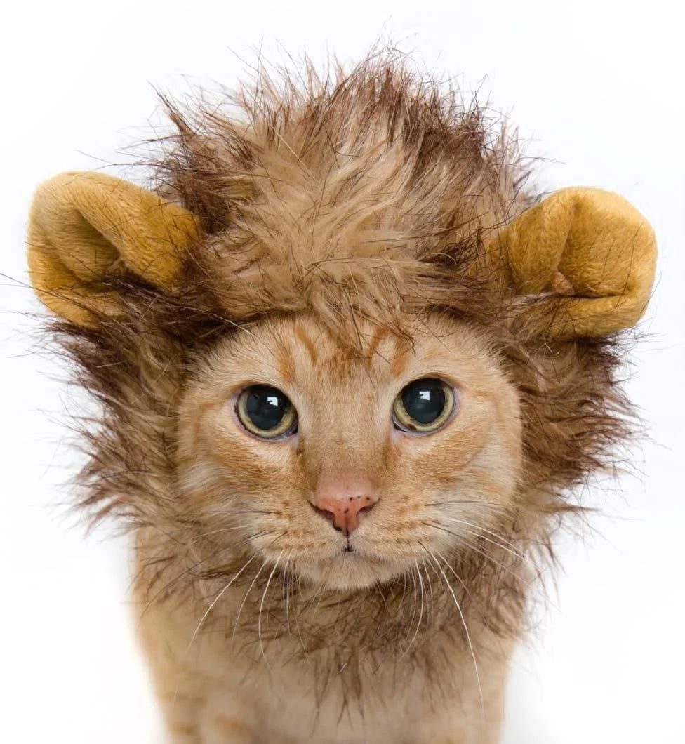 Lion Mane Costume - Lion Mane for Cats and Dogs- Fits Neck Size 8”-14” - Perfect for Halloween & Gifts for Cat Lovers