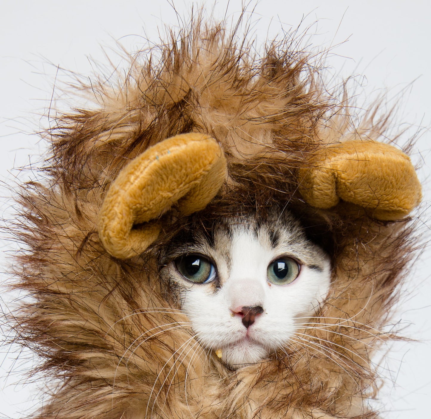 Lion Mane Costume - Lion Mane for Cats and Dogs- Fits Neck Size 8”-14” - Perfect for Halloween & Gifts for Cat Lovers