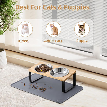 Elevated Cat Bowls w/ 15° Anti-Vomiting Stand