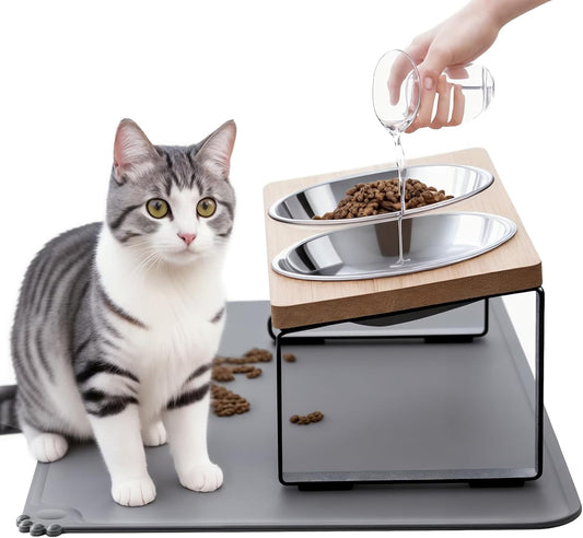 Elevated Cat Bowls w/ 15° Anti-Vomiting Stand