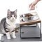 Elevated Cat Bowls w/ 15° Anti-Vomiting Stand